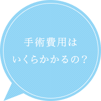 手術費用は いくらかかるの？